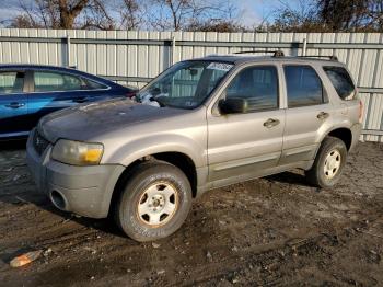  Salvage Ford Escape