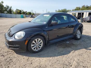  Salvage Volkswagen Beetle