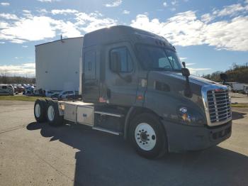  Salvage Freightliner Cascadia 1