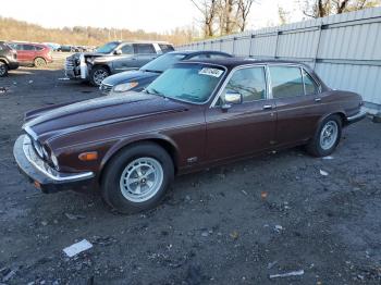  Salvage Jaguar Xj6