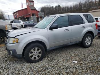  Salvage Mazda Tribute