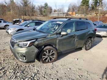  Salvage Subaru Forester