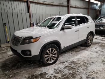  Salvage Kia Sorento