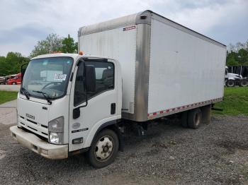  Salvage Isuzu Nrr