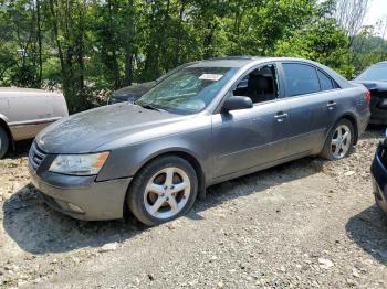  Salvage Hyundai SONATA