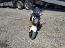 Honda Grom A Image 2