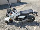 Honda Grom A Image 5