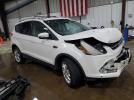 Ford Escape Titanium Image 8