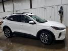 Ford Escape Platinum Image 12