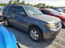 Ford Escape Xlt Image 5
