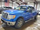 Ford F-150 Supercrew Image 1
