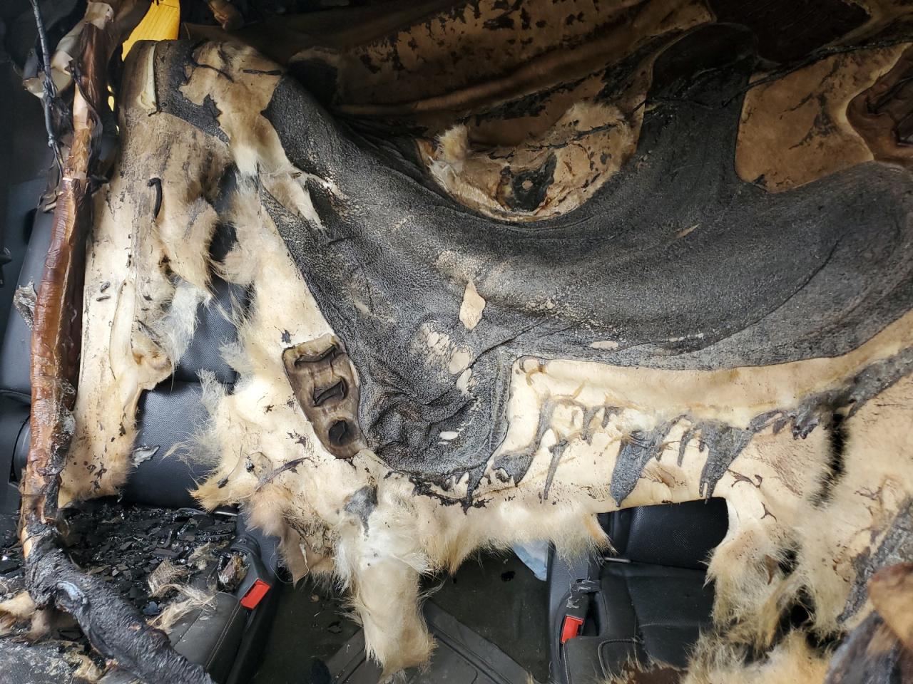 Chevrolet Tahoe K1500 Ltz Image 8