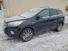 Ford Escape Titanium Image 1
