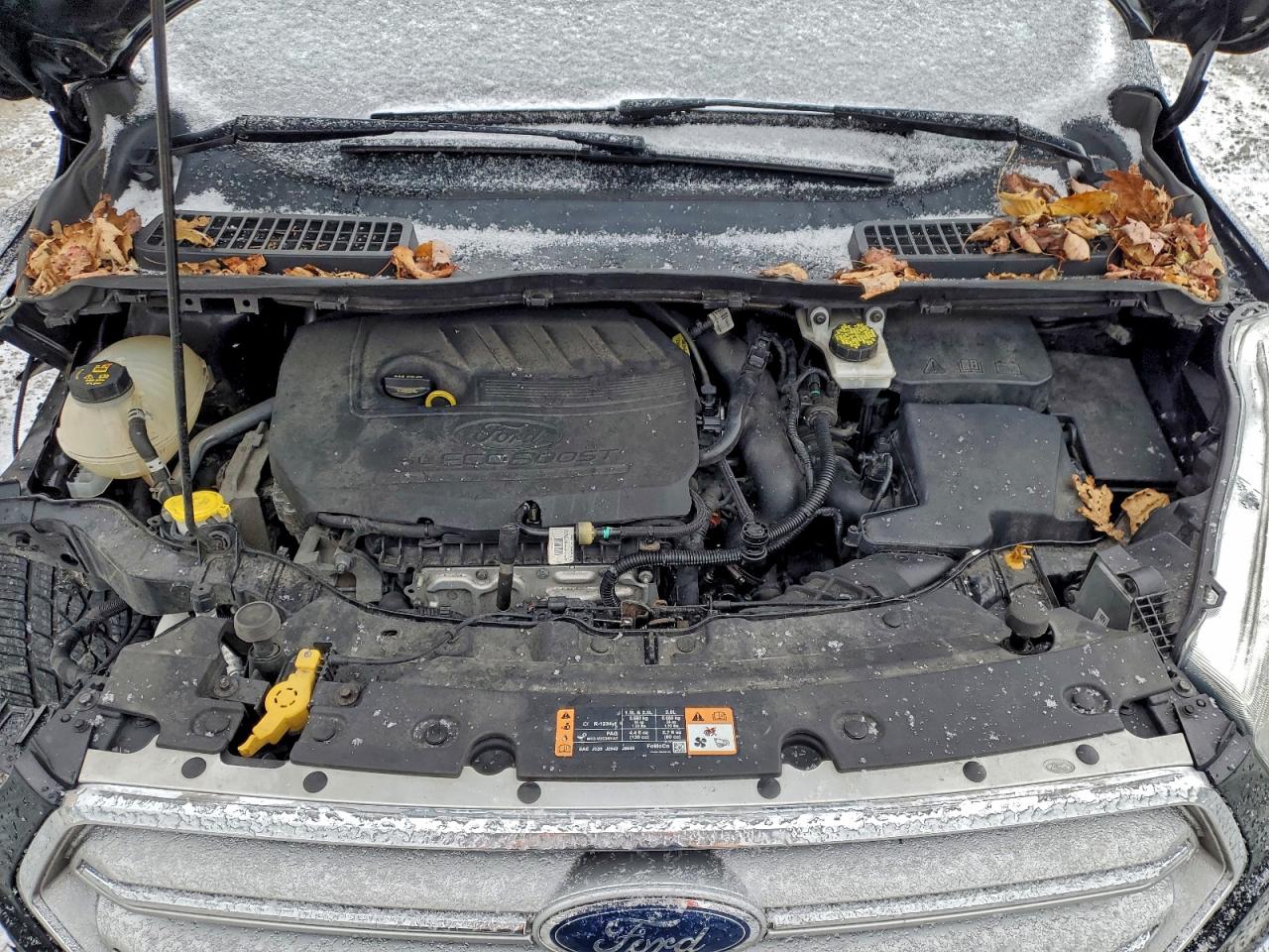 Ford Escape Titanium Image 13