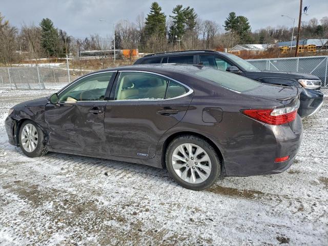 Lexus Es 300h Image 6