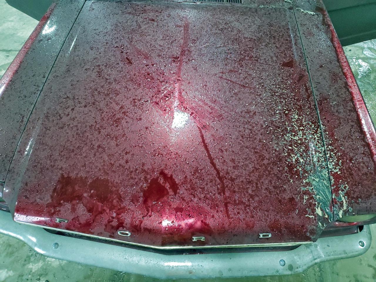 Ford Mustang Image 11