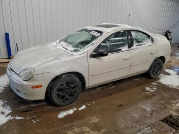  Salvage Dodge Neon