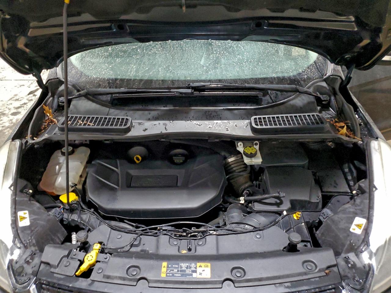 Ford Escape Titanium Image 12