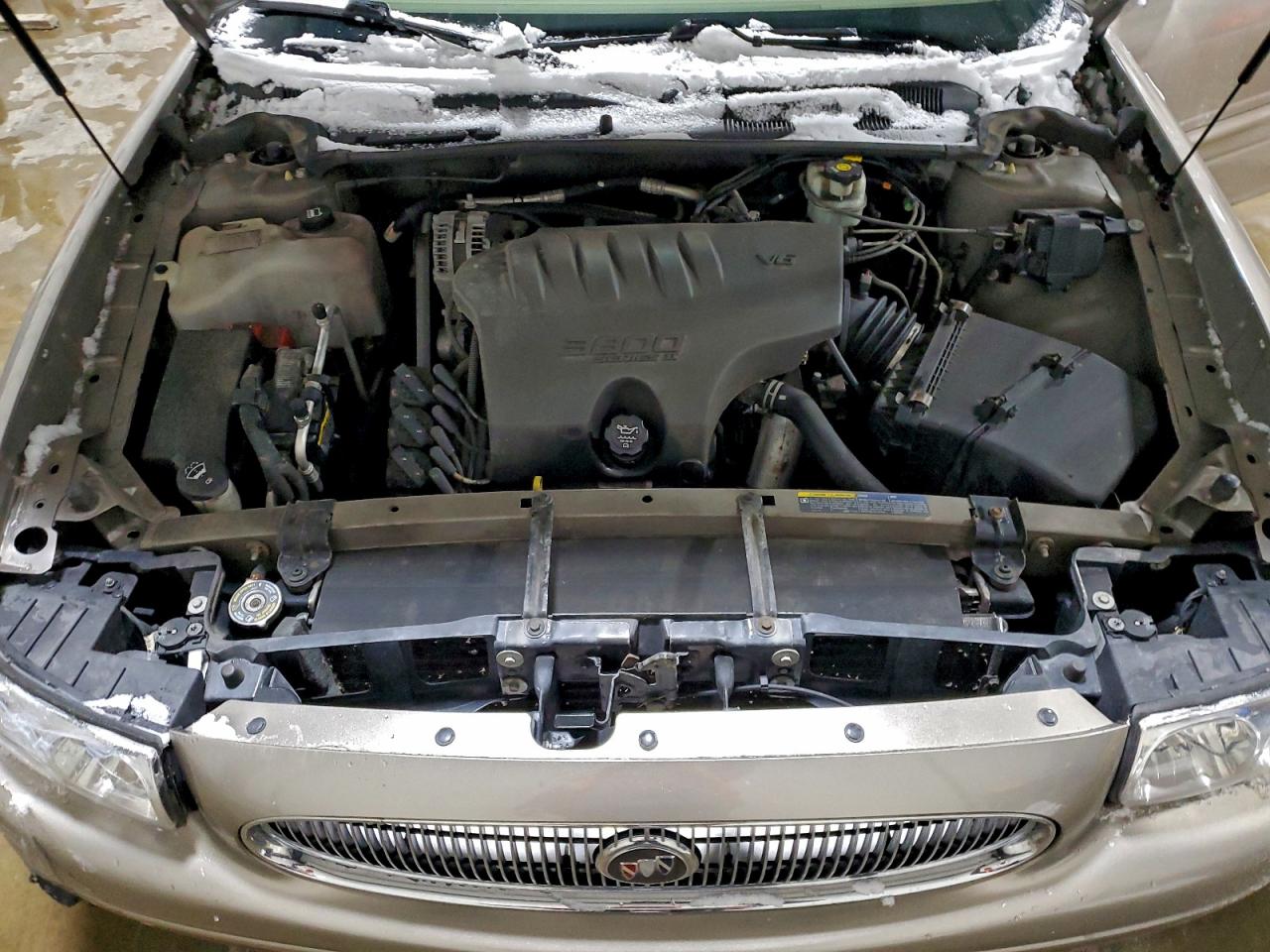 Buick LeSabre Custom Image 9