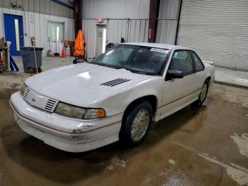  Salvage Chevrolet Lumina