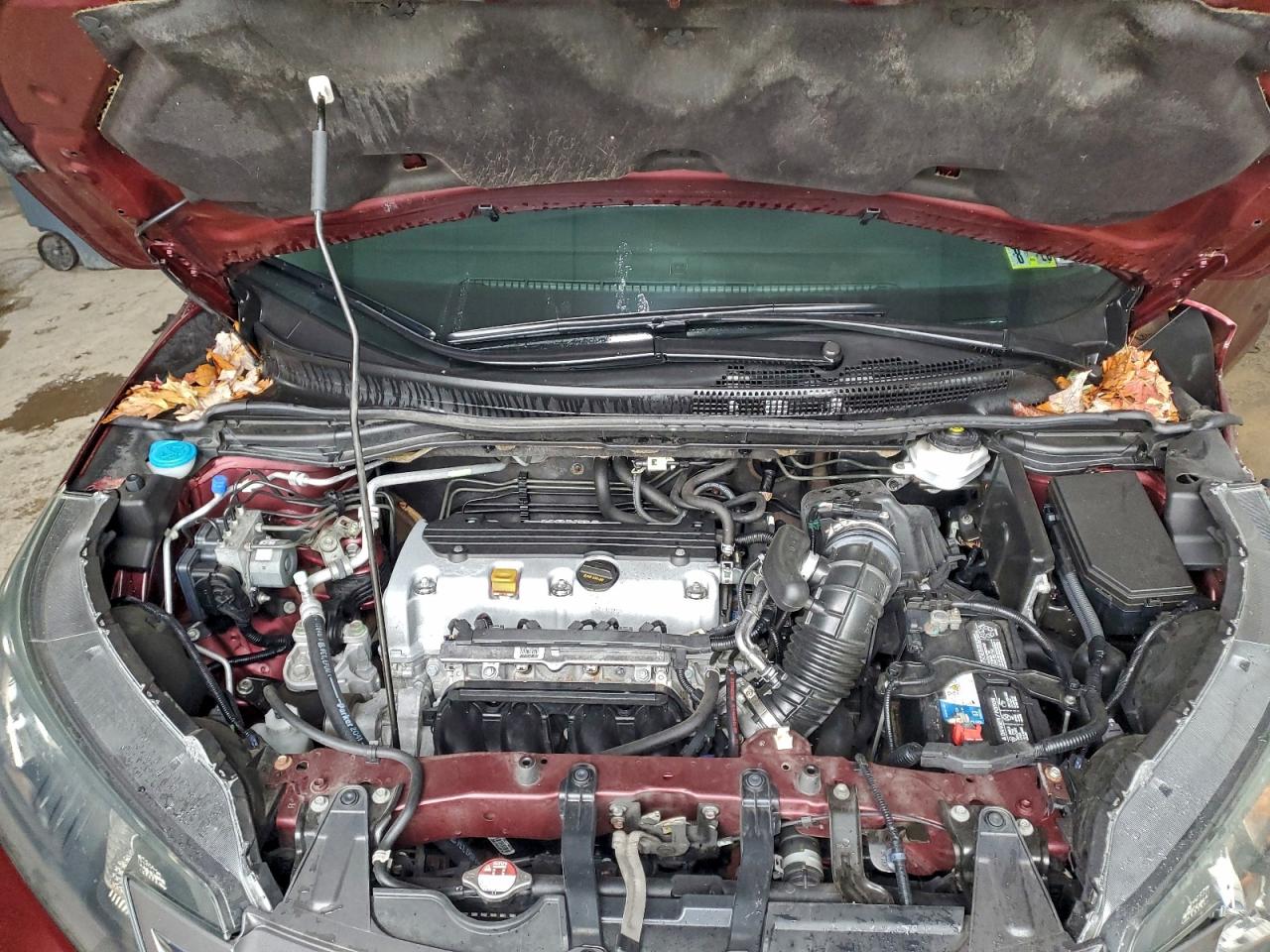 Honda Crv Exl Image 5